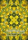Imagami-Postkarten-Mappe Heilpflanzen (12 imagami Postkarten)