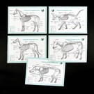 Kit Modul 4 Kit Modul 4